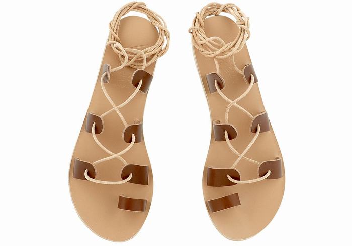 Sandales De Gladiateur Ancient Greek Sandals Alcyone Leather   | EMW-9534475